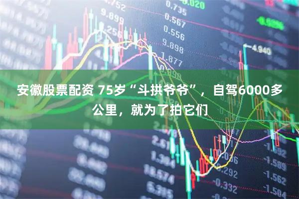 安徽股票配资 75岁“斗拱爷爷”，自驾6000多公里，就为了拍它们